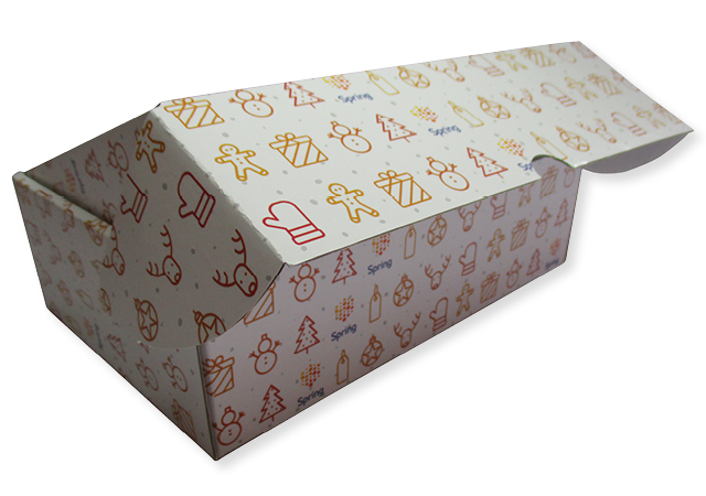 bedrukt doos doosje verzenddoos van golfkarton met vaste klep in full color a5 formaat 222x152x70 mm fefco 0427
