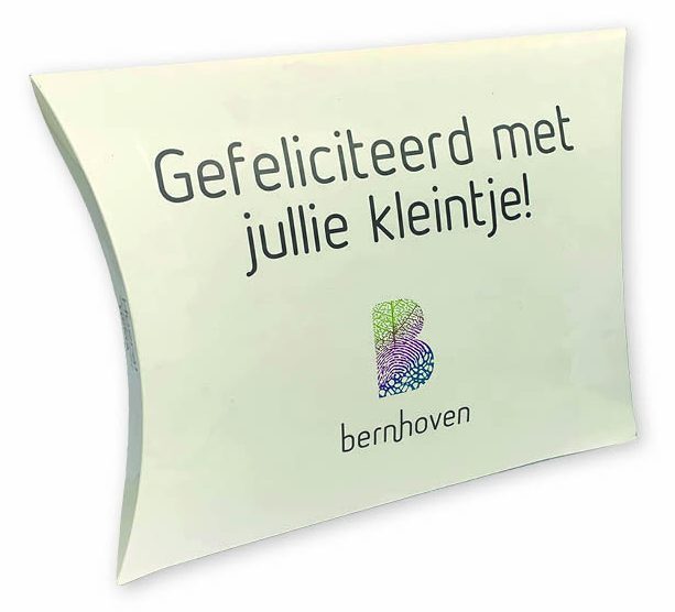 Een groot wit bedrukt gondeldoosje met de afmetingen 430x339x65 mm, voorzien van de felicitatie 'Gefeliciteerd met jullie kleintje!' en het kleurrijke logo van Bernhoven. Dit luxe kussendoosje (pillow box) heeft elegante ronde vormen en een hoogglanzende afwerking. Het formaat van 430 x 339 x 65 mm maakt dit doosje bij uitstek geschikt als gepersonaliseerde geschenkverpakking voor grotere kraamcadeaus, kleding of zorgpakketten.