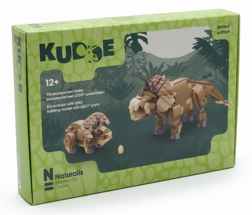 De gesloten buitenzijde van de Lego Triceratops speelgoeddoos voor het Naturalis Biodiversity Center. De doos is uitgevoerd in een groene natuurlijke tint met een reptielachtig patroon en een full color afbeelding van de Triceratops met jong in een jungle-omgeving. Het logo van Naturalis en de merknaam 